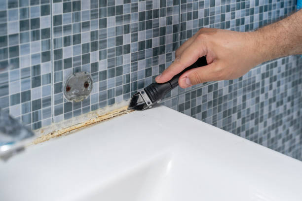 Best Post-Remediation Services in Wixom, MI